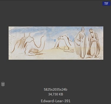 爱德华·利尔 Edward Lear