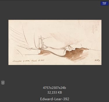 爱德华·利尔 Edward Lear