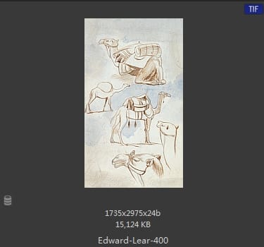 爱德华·利尔 Edward Lear