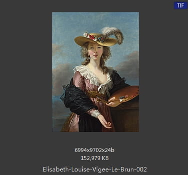 伊丽莎白·路易丝·维热·勒布伦 Elisabeth Louise Vigee LeBrun