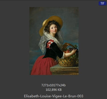 伊丽莎白·路易丝·维热·勒布伦 Elisabeth Louise Vigee LeBrun