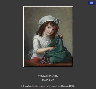 伊丽莎白·路易丝·维热·勒布伦 Elisabeth Louise Vigee LeBrun