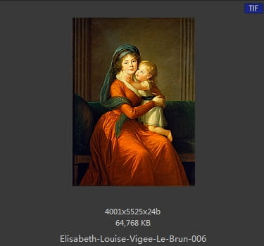 伊丽莎白·路易丝·维热·勒布伦 Elisabeth Louise Vigee LeBrun