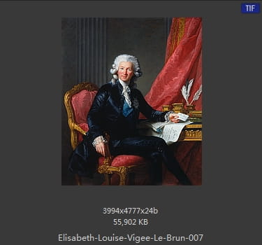 伊丽莎白·路易丝·维热·勒布伦 Elisabeth Louise Vigee LeBrun