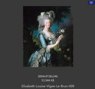 伊丽莎白·路易丝·维热·勒布伦 Elisabeth Louise Vigee LeBrun