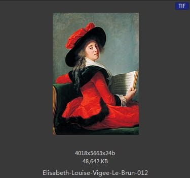 伊丽莎白·路易丝·维热·勒布伦 Elisabeth Louise Vigee LeBrun