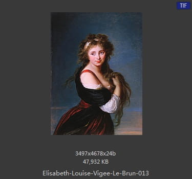 伊丽莎白·路易丝·维热·勒布伦 Elisabeth Louise Vigee LeBrun
