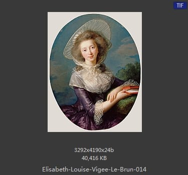 伊丽莎白·路易丝·维热·勒布伦 Elisabeth Louise Vigee LeBrun