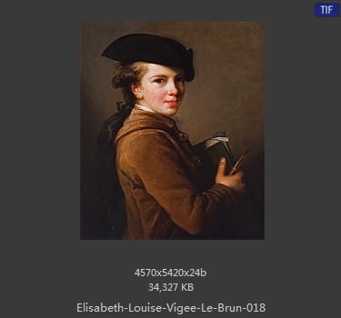 伊丽莎白·路易丝·维热·勒布伦 Elisabeth Louise Vigee LeBrun