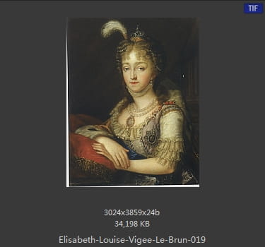 伊丽莎白·路易丝·维热·勒布伦 Elisabeth Louise Vigee LeBrun