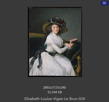伊丽莎白·路易丝·维热·勒布伦 Elisabeth Louise Vigee LeBrun