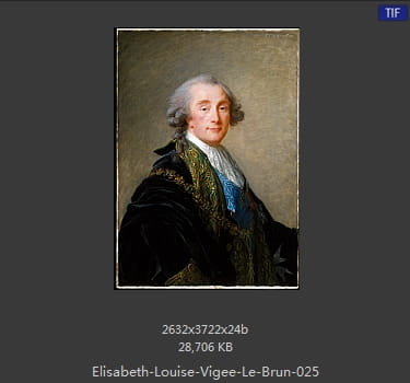 伊丽莎白·路易丝·维热·勒布伦 Elisabeth Louise Vigee LeBrun