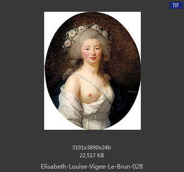 伊丽莎白·路易丝·维热·勒布伦 Elisabeth Louise Vigee LeBrun