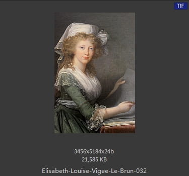 伊丽莎白·路易丝·维热·勒布伦 Elisabeth Louise Vigee LeBrun