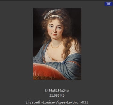 伊丽莎白·路易丝·维热·勒布伦 Elisabeth Louise Vigee LeBrun