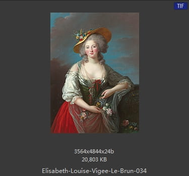 伊丽莎白·路易丝·维热·勒布伦 Elisabeth Louise Vigee LeBrun