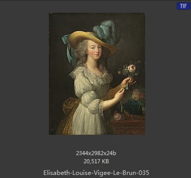 伊丽莎白·路易丝·维热·勒布伦 Elisabeth Louise Vigee LeBrun