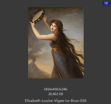 伊丽莎白·路易丝·维热·勒布伦 Elisabeth Louise Vigee LeBrun