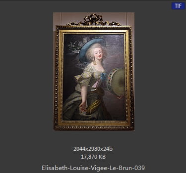 伊丽莎白·路易丝·维热·勒布伦 Elisabeth Louise Vigee LeBrun