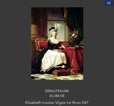 伊丽莎白·路易丝·维热·勒布伦 Elisabeth Louise Vigee LeBrun