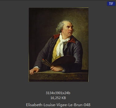 伊丽莎白·路易丝·维热·勒布伦 Elisabeth Louise Vigee LeBrun