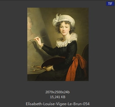 伊丽莎白·路易丝·维热·勒布伦 Elisabeth Louise Vigee LeBrun