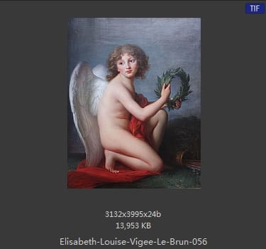 伊丽莎白·路易丝·维热·勒布伦 Elisabeth Louise Vigee LeBrun