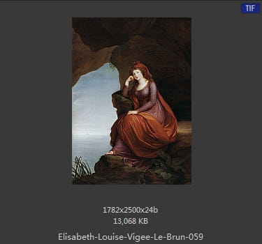 伊丽莎白·路易丝·维热·勒布伦 Elisabeth Louise Vigee LeBrun