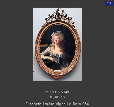 伊丽莎白·路易丝·维热·勒布伦 Elisabeth Louise Vigee LeBrun