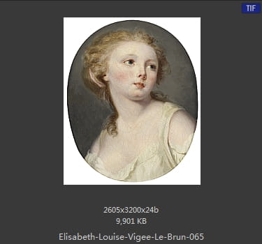 伊丽莎白·路易丝·维热·勒布伦 Elisabeth Louise Vigee LeBrun