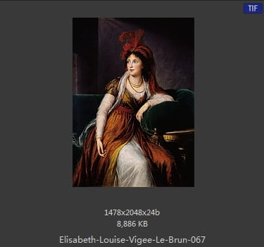伊丽莎白·路易丝·维热·勒布伦 Elisabeth Louise Vigee LeBrun