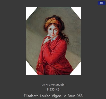 伊丽莎白·路易丝·维热·勒布伦 Elisabeth Louise Vigee LeBrun