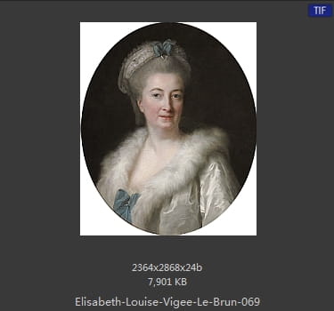 伊丽莎白·路易丝·维热·勒布伦 Elisabeth Louise Vigee LeBrun