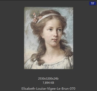 伊丽莎白·路易丝·维热·勒布伦 Elisabeth Louise Vigee LeBrun
