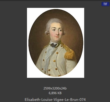伊丽莎白·路易丝·维热·勒布伦 Elisabeth Louise Vigee LeBrun