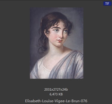 伊丽莎白·路易丝·维热·勒布伦 Elisabeth Louise Vigee LeBrun