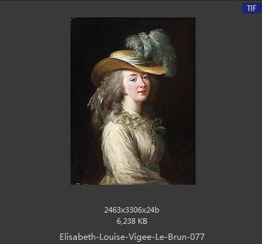 伊丽莎白·路易丝·维热·勒布伦 Elisabeth Louise Vigee LeBrun