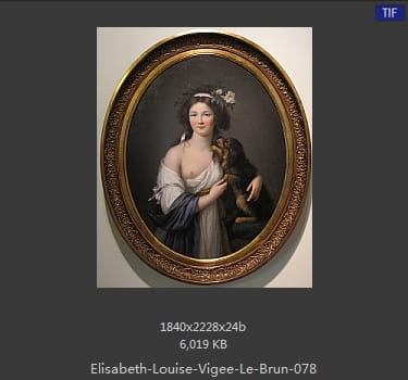 伊丽莎白·路易丝·维热·勒布伦 Elisabeth Louise Vigee LeBrun