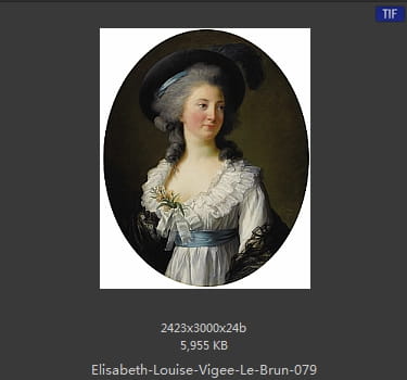 伊丽莎白·路易丝·维热·勒布伦 Elisabeth Louise Vigee LeBrun