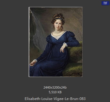伊丽莎白·路易丝·维热·勒布伦 Elisabeth Louise Vigee LeBrun