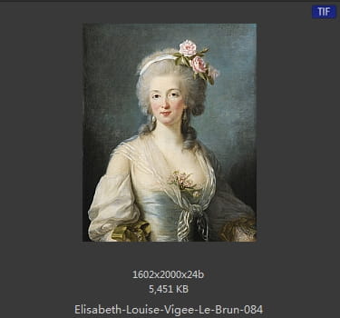 伊丽莎白·路易丝·维热·勒布伦 Elisabeth Louise Vigee LeBrun