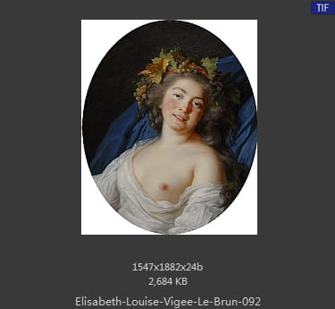 伊丽莎白·路易丝·维热·勒布伦 Elisabeth Louise Vigee LeBrun