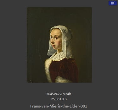 弗兰斯·范·米里斯 Frans van Mieris the Elder