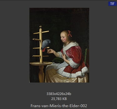 弗兰斯·范·米里斯 Frans van Mieris the Elder