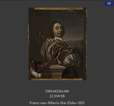 弗兰斯·范·米里斯 Frans van Mieris the Elder