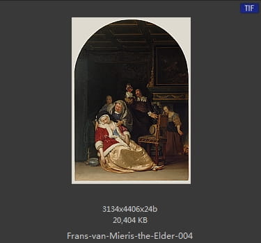 弗兰斯·范·米里斯 Frans van Mieris the Elder