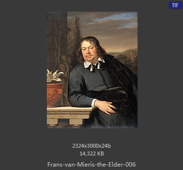 弗兰斯·范·米里斯 Frans van Mieris the Elder