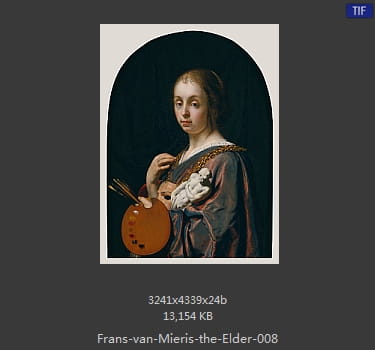 弗兰斯·范·米里斯 Frans van Mieris the Elder