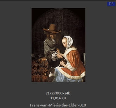 弗兰斯·范·米里斯 Frans van Mieris the Elder