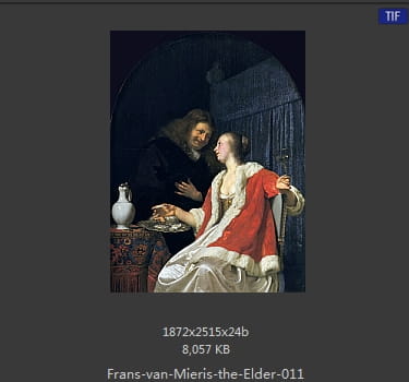 弗兰斯·范·米里斯 Frans van Mieris the Elder